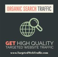 Targeted Website Traffic image 5